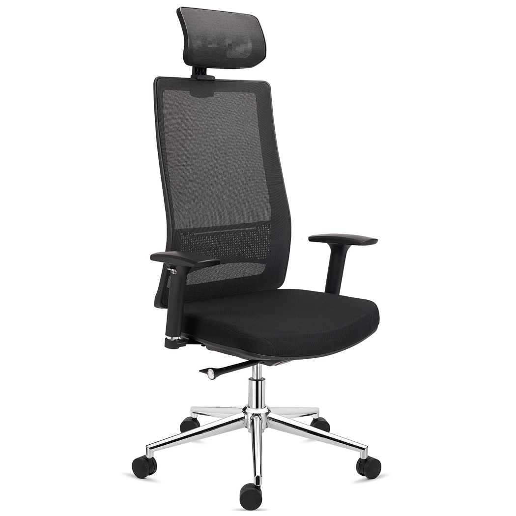 Ergonomisk stol SANTOS, Nakkestøtte, Professionel Brug i 8 Timer, I Sort