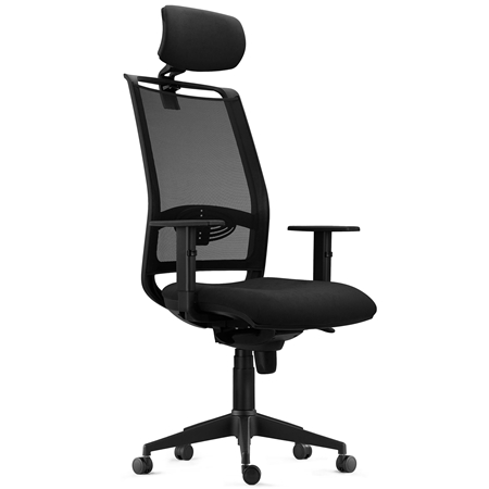 Ergonomisk stol NEPTUNO, Nakkestøtte, Lændestøtte, 8 Timers Brug, I Sort Net og Sort Stof
